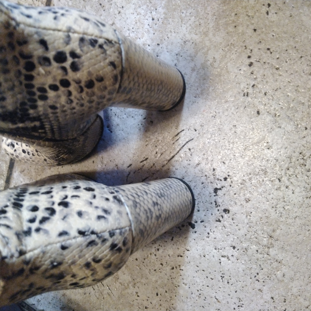 Shoe size 37 1/2
